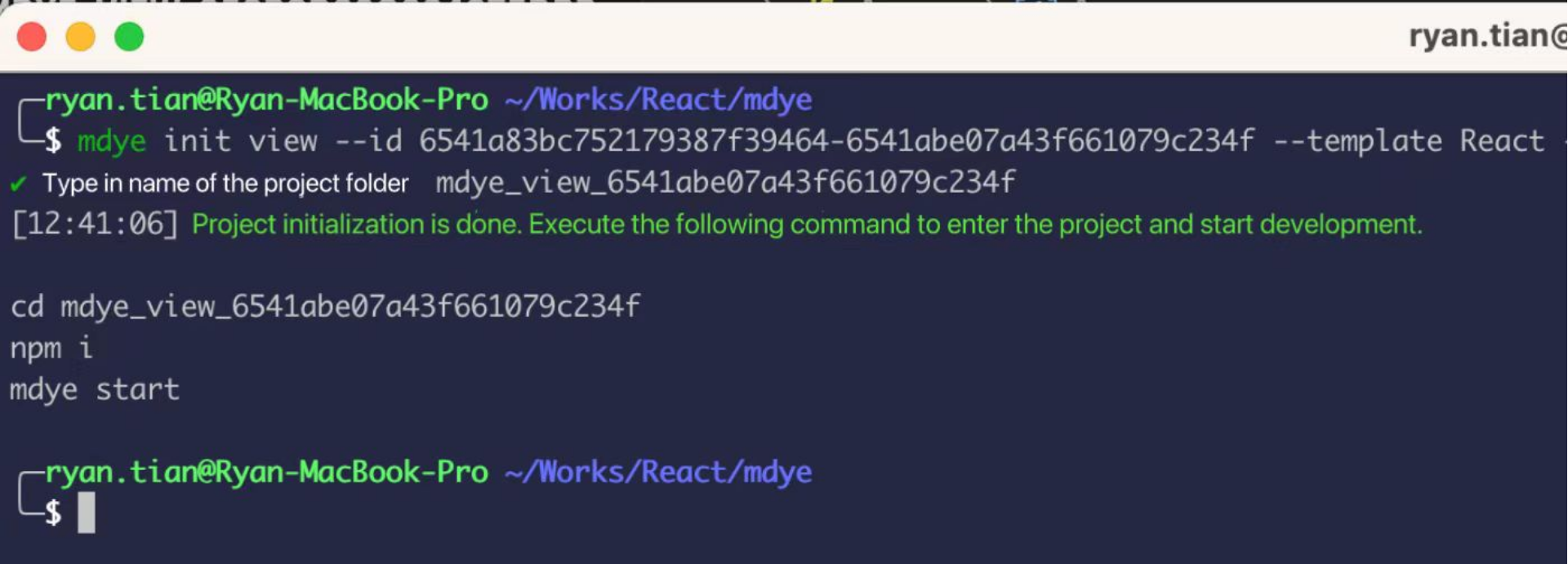 Local Project Command